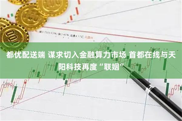 都优配送端 谋求切入金融算力市场 首都在线与天阳科技再度“联姻”